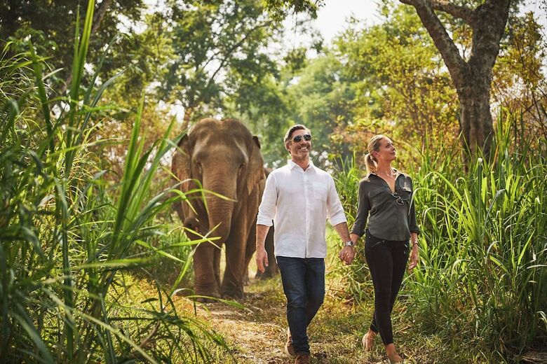 Hotel Anantara Golden Triangle Resort  Spa