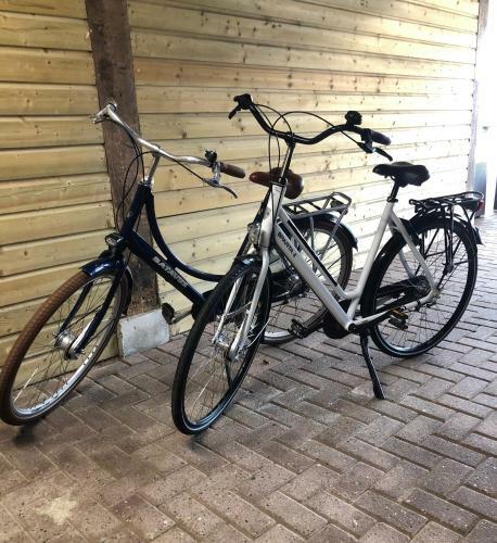 B&B Polderzicht