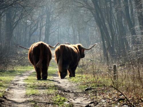 Bed & Breakfast Slapen Bij De Buurvrouw