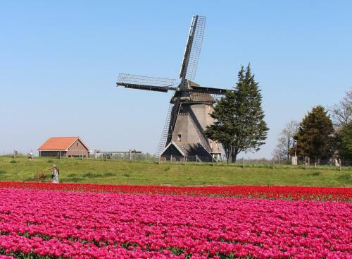 Apartamento Wijde Blick Appartement 205 - Callantsoog