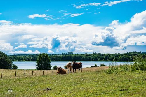 Agroturismo Zielna Farma