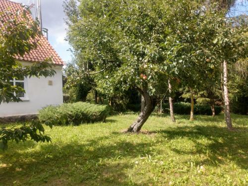 Agroturismo Pod Kasztanami Blanki