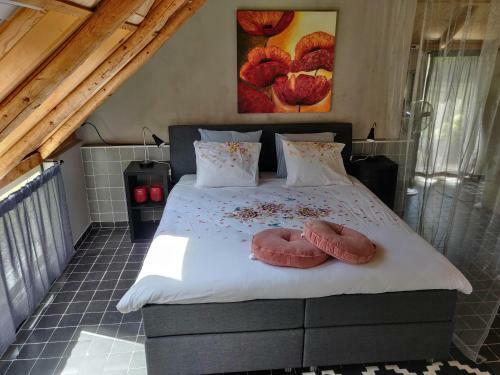Bed & Breakfast Het Vlieghuisje