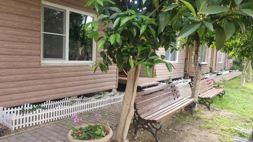 Hostal Breeze