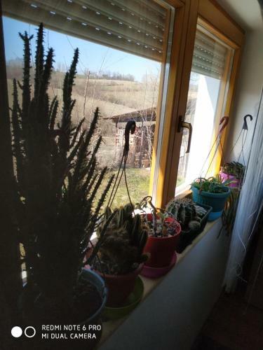 Apartamento Seosko Turisti?ko Doma?instvo Milka