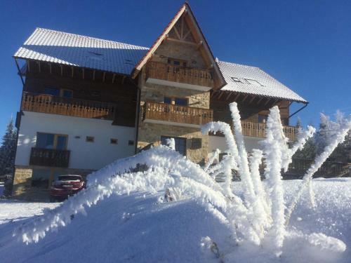 Hostal Pensiunea Colt De Rai