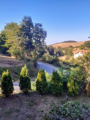 Agroturismo ?ajetinska Brvnara