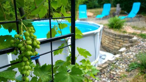 Apartamento Casa Quattro Stagioni Fruska Gora