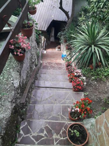 Hostal Guest House Teremok