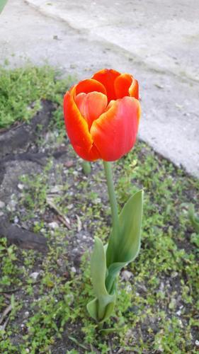 Hostal Guest House On Ardzinba 215