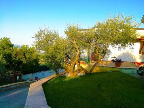 B&B Maison Villa Vittorio