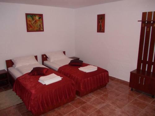 Hostal Clisura Dunarii - Danubian Border