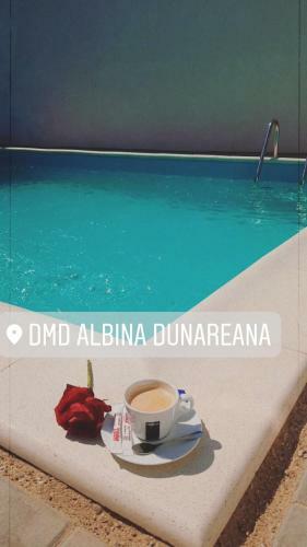 Hostal Albina Dunareana