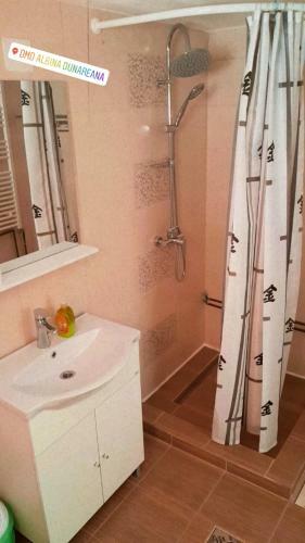 Hostal Albina Dunareana