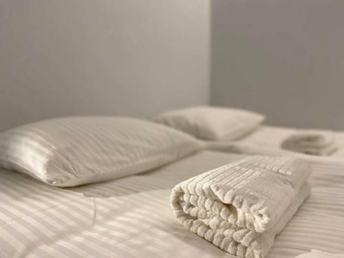 Vytautas Park Apartment