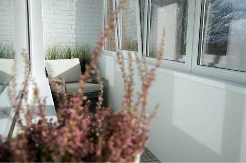 Vytautas Park Apartment