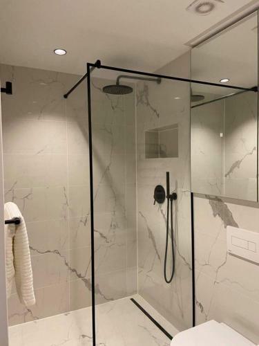 Vytautas Park Apartment