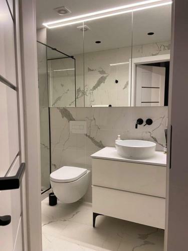 Vytautas Park Apartment