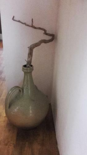 Hostal Viesu Nams R?mes