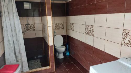 Rybn�k Biel - B�lyi Horg�szt� Apartman 2