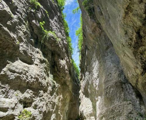 Apartamento Residence Le Ginestre