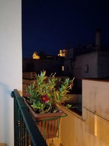 Bed & Breakfast Il Vicoletto