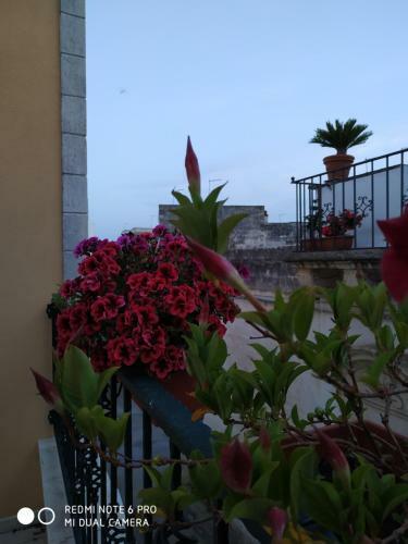 Bed & Breakfast Il Vicoletto