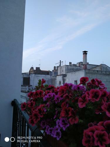 Bed & Breakfast Il Vicoletto