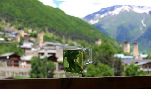 Hostal Travel Inn House Mestia ? ????????? ?????