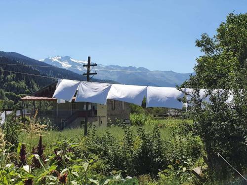 Hostal Guesthouse Kurdiani In Mestia
