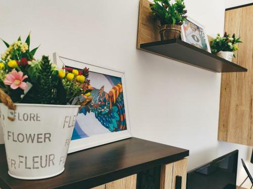 Cozy Corner Apartments - Free Parking & Wi-fi