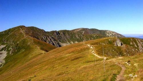 Mymara , Apartm�n Ivadella