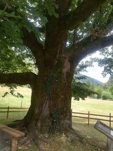 Apartamentos Hi?a Na Soncu / Sun House