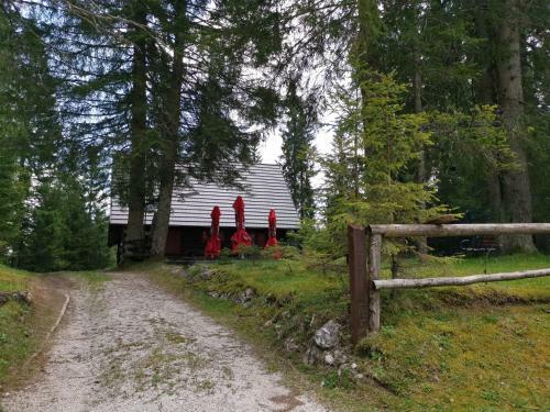Chalet Stara Jelka Pokljuka