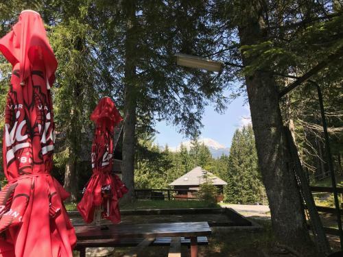 Chalet Stara Jelka Pokljuka