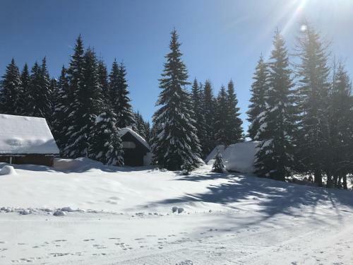 Chalet Stara Jelka Pokljuka