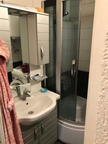 Pristina City Center Apartment