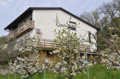Apartma Baj?i