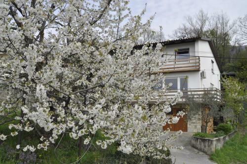 Apartma Baj?i