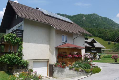 Hostal Apartments - Glamping Encijan