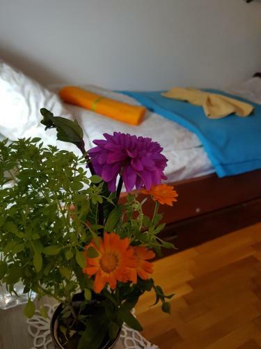 Hostal Nena & Rale Rooms
