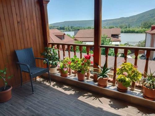 Bed & Breakfast Davit Batoni Guest House