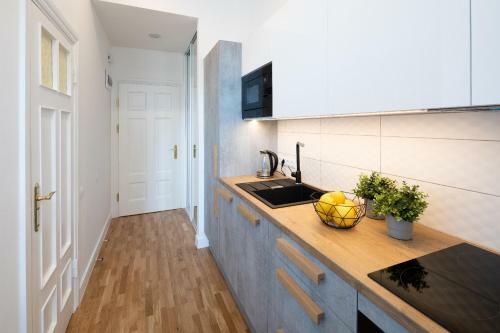 Brivibas House Design Apartments In City Center