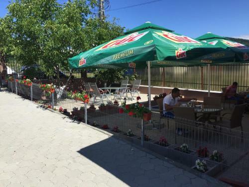 Hotel Pensiune Casamircea