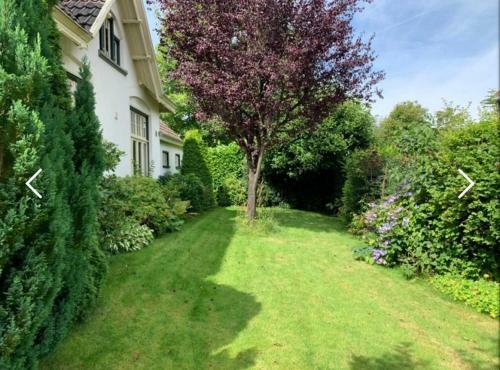 Lovely 2-bed House In Dinkelland Near Restaurants