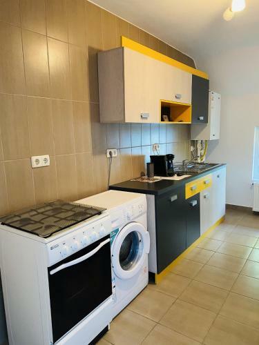 Apartament Central In Blaj Cu Gratar Si Gradina