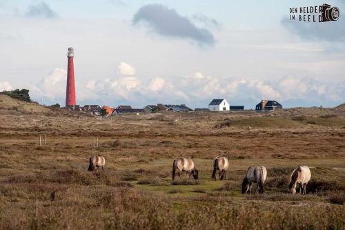 Bed & Breakfast Overnachten Onder De Lange Jaap