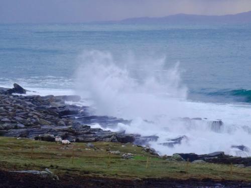 Bridget's View Bed And Breakfast