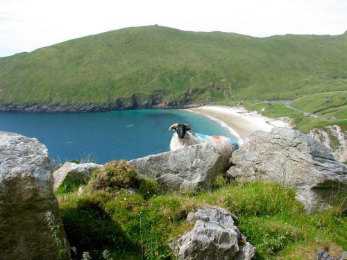 Bridget's View Bed And Breakfast