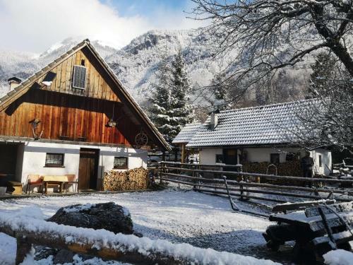 Bohinj House Lizina Hi?ka